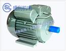 电机-异步电机价格