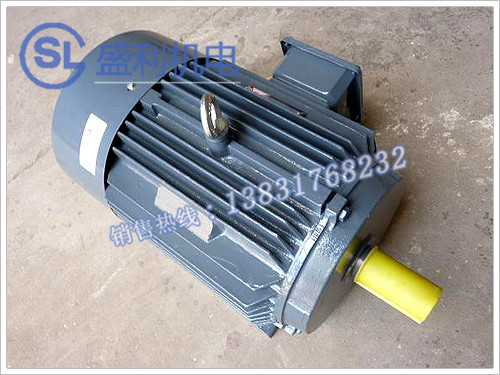 <strong>A02系列电机</strong>